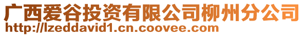 廣西愛谷投資有限公司柳州分公司