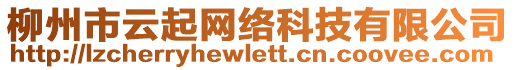 柳州市云起網(wǎng)絡科技有限公司