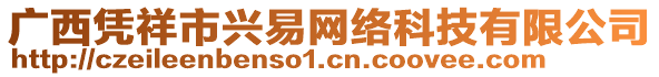 廣西憑祥市興易網(wǎng)絡(luò)科技有限公司