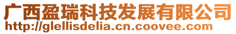 廣西盈瑞科技發展有限公司