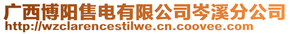 廣西博陽售電有限公司岑溪分公司