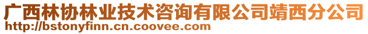 廣西林協(xié)林業(yè)技術(shù)咨詢有限公司靖西分公司