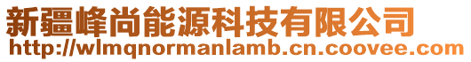 新疆峰尚能源科技有限公司