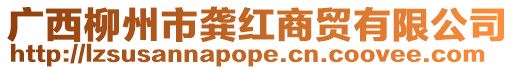 廣西柳州市龔紅商貿有限公司