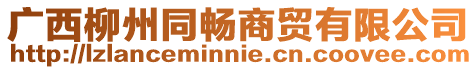 廣西柳州同暢商貿(mào)有限公司