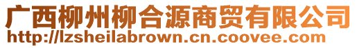 廣西柳州柳合源商貿有限公司