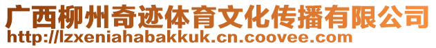 廣西柳州奇跡體育文化傳播有限公司