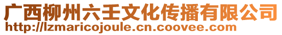 广西柳州六壬文化传播有限公司