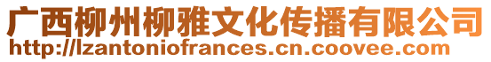 廣西柳州柳雅文化傳播有限公司
