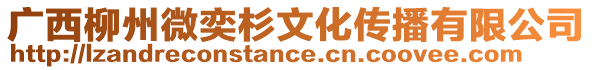 廣西柳州微奕杉文化傳播有限公司