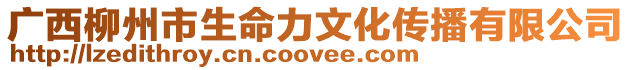 廣西柳州市生命力文化傳播有限公司