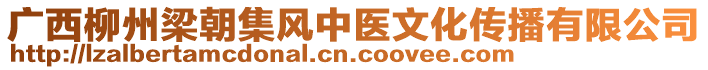 廣西柳州梁朝集風(fēng)中醫(yī)文化傳播有限公司