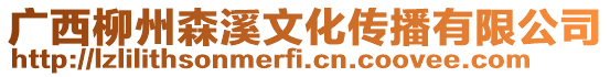 廣西柳州森溪文化傳播有限公司