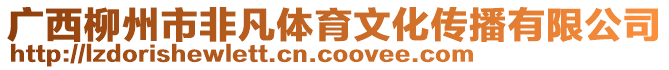 廣西柳州市非凡體育文化傳播有限公司