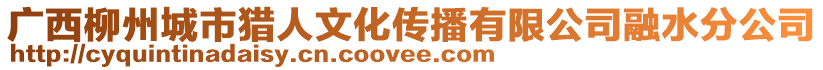 廣西柳州城市獵人文化傳播有限公司融水分公司