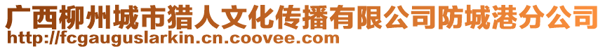 廣西柳州城市獵人文化傳播有限公司防城港分公司