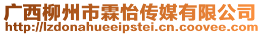 廣西柳州市霖怡傳媒有限公司