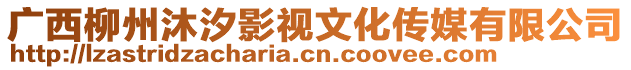 廣西柳州沐汐影視文化傳媒有限公司