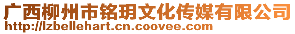 廣西柳州市銘玥文化傳媒有限公司