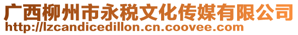 廣西柳州市永稅文化傳媒有限公司