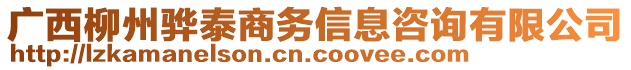 廣西柳州驊泰商務(wù)信息咨詢有限公司