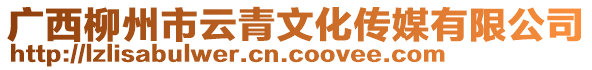 廣西柳州市云青文化傳媒有限公司