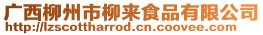 廣西柳州市柳來食品有限公司