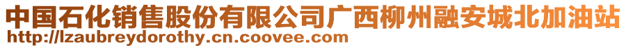 中国石化销售股份有限公司广西柳州融安城北加油站