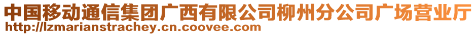 中國(guó)移動(dòng)通信集團(tuán)廣西有限公司柳州分公司廣場(chǎng)營(yíng)業(yè)廳