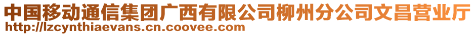 中國移動通信集團廣西有限公司柳州分公司文昌營業(yè)廳