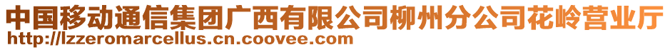 中國移動通信集團(tuán)廣西有限公司柳州分公司花嶺營業(yè)廳