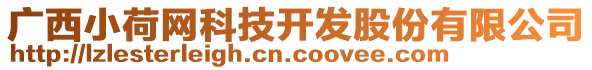 廣西小荷網(wǎng)科技開發(fā)股份有限公司