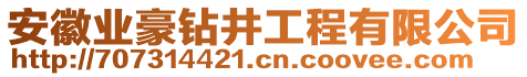 安徽业豪钻井工程有限公司