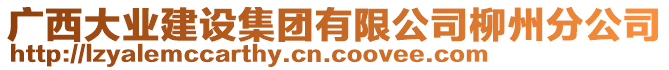 廣西大業(yè)建設(shè)集團(tuán)有限公司柳州分公司