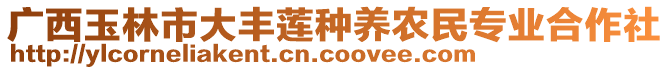 廣西玉林市大豐蓮種養(yǎng)農(nóng)民專業(yè)合作社