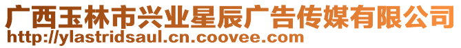 廣西玉林市興業星辰廣告傳媒有限公司
