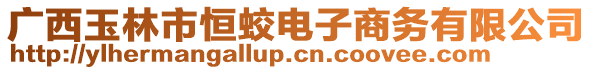 廣西玉林市恒蛟電子商務(wù)有限公司