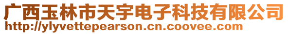 廣西玉林市天宇電子科技有限公司