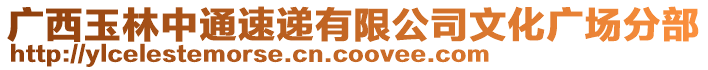 廣西玉林中通速遞有限公司文化廣場分部