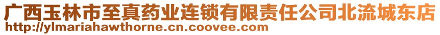 廣西玉林市至真藥業(yè)連鎖有限責任公司北流城東店