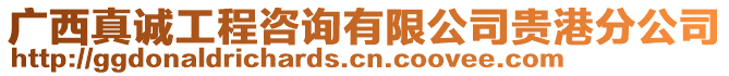 廣西真誠工程咨詢有限公司貴港分公司