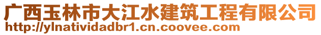 廣西玉林市大江水建筑工程有限公司