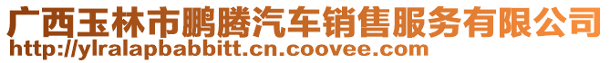 廣西玉林市鵬騰汽車銷售服務有限公司