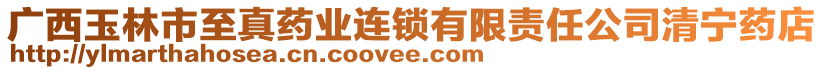 廣西玉林市至真藥業(yè)連鎖有限責任公司清寧藥店