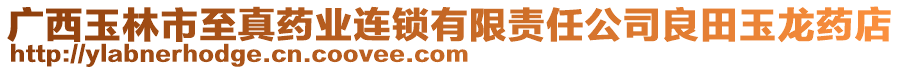 廣西玉林市至真藥業(yè)連鎖有限責(zé)任公司良田玉龍藥店