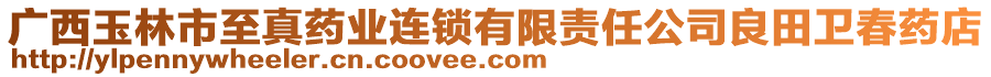 廣西玉林市至真藥業(yè)連鎖有限責(zé)任公司良田衛(wèi)春藥店