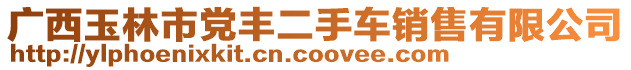 廣西玉林市黨豐二手車銷售有限公司