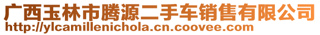 廣西玉林市騰源二手車銷售有限公司