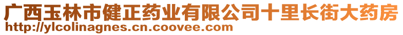 廣西玉林市健正藥業(yè)有限公司十里長街大藥房