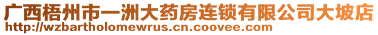 廣西梧州市一洲大藥房連鎖有限公司大坡店